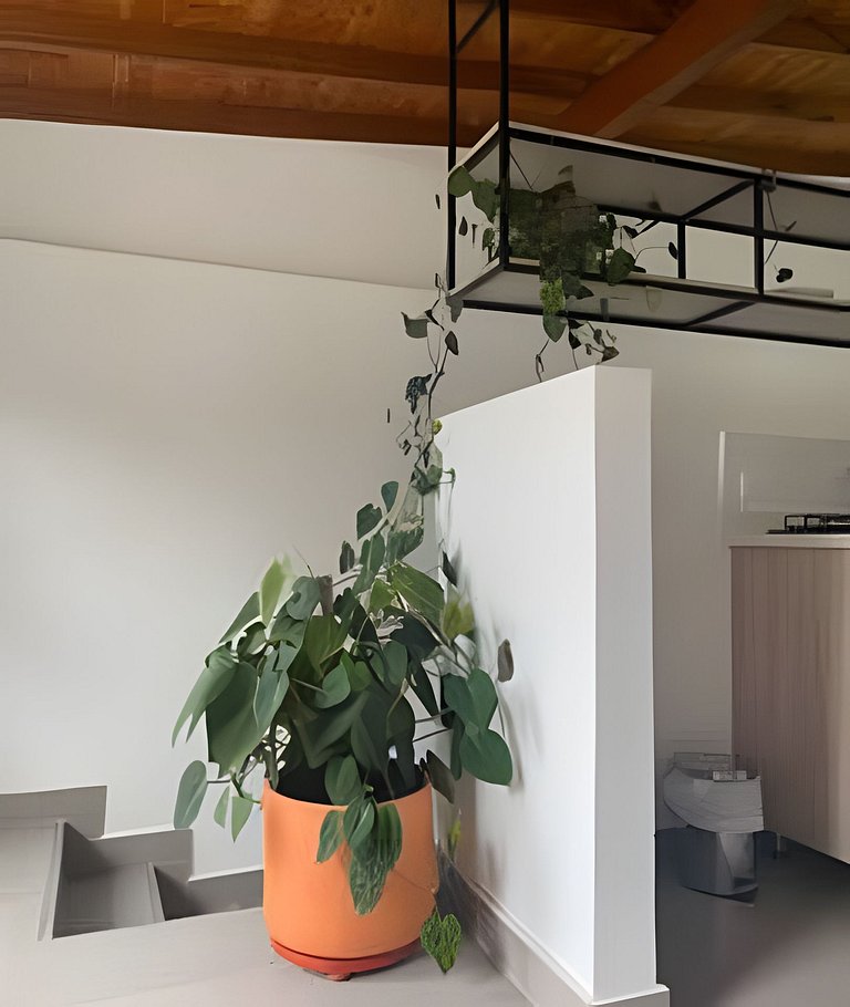 301. Apartamento económico y funcional