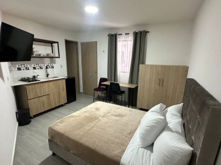 C106: Loft Económico y Funcional
