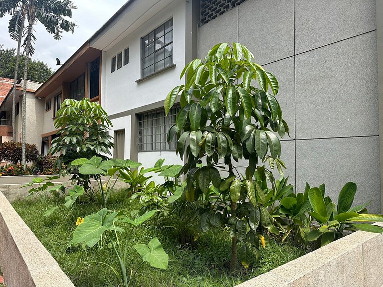 S102. Economic and Functional Apartament