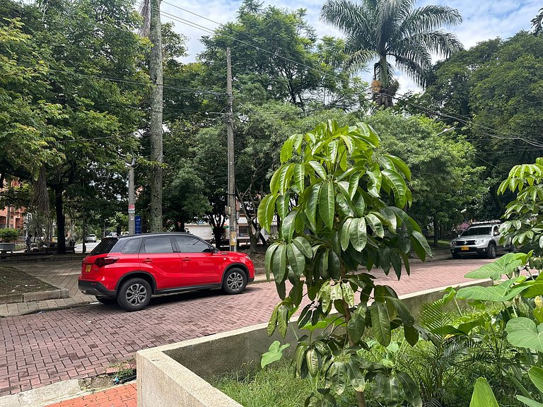 Apartments and Loft in Zona Rosa de Laureles