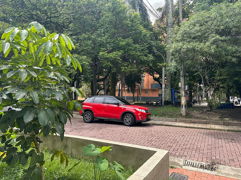 Apartments and Loft in Zona Rosa de Laureles