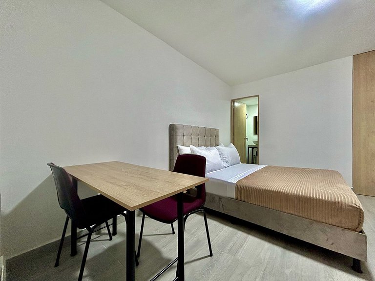 C103: Loft Económico y Funcional
