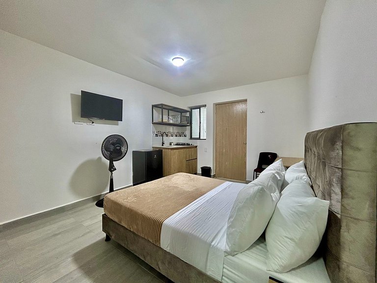 C103: Loft Económico y Funcional
