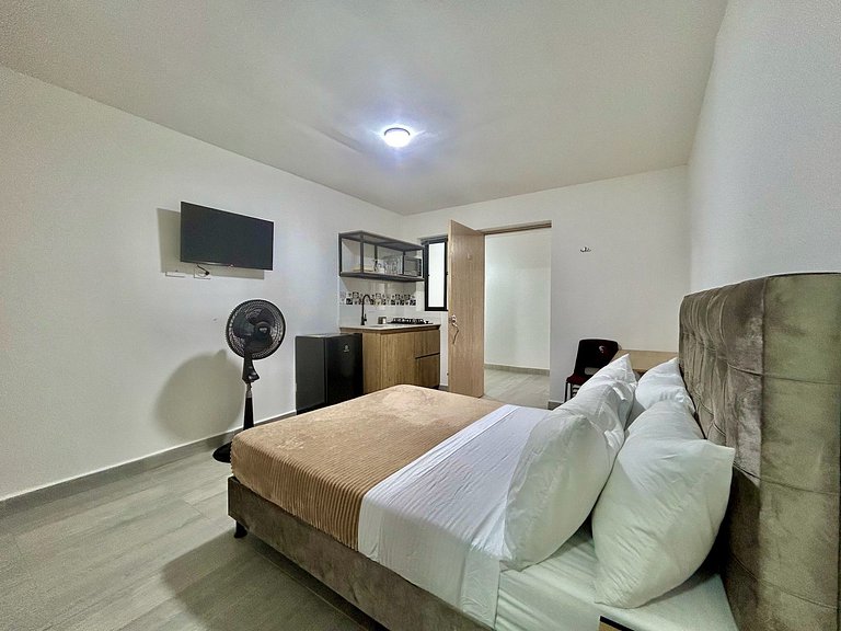 C103: Loft Económico y Funcional