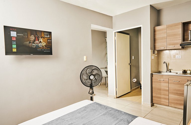 S201. Economic and Functional Loft