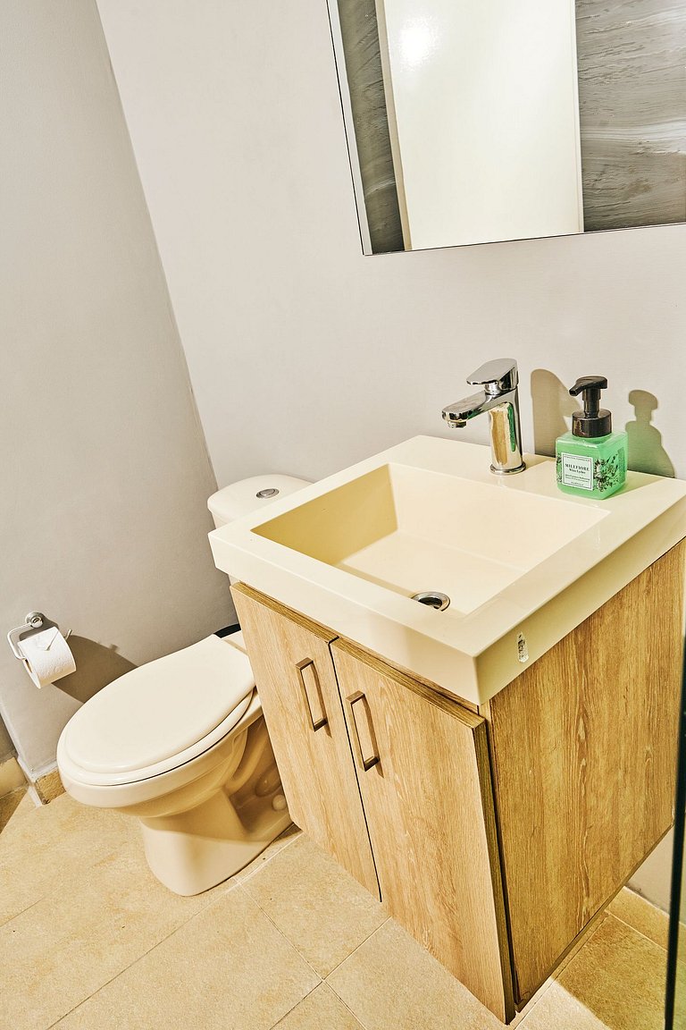 S201. Economic and Functional Loft