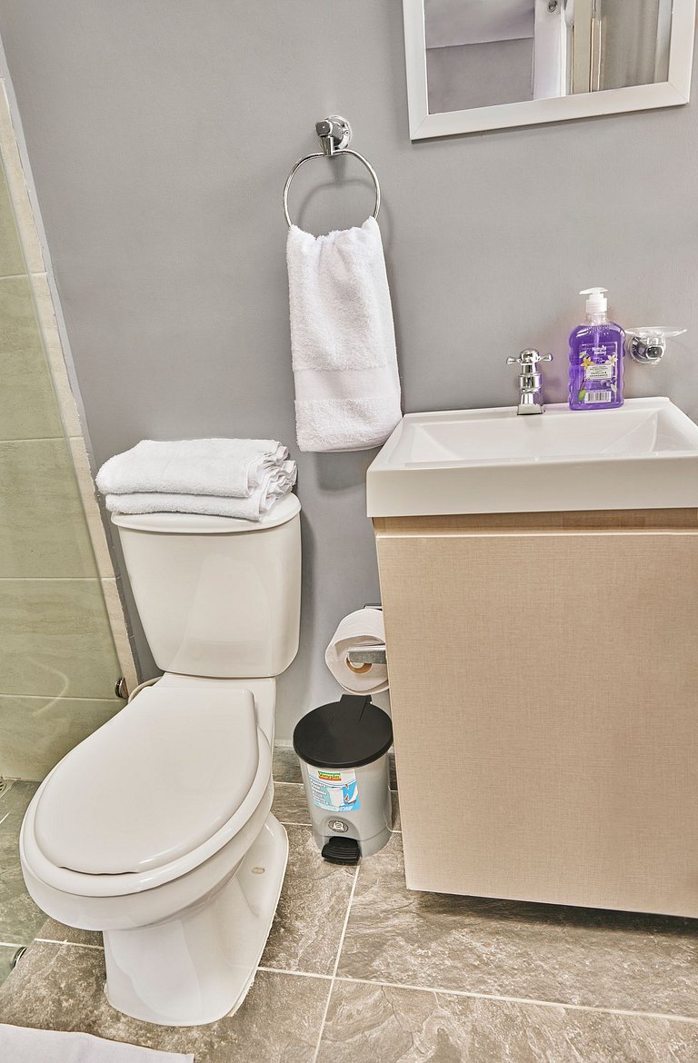 S202. Economic and Functional Apartament