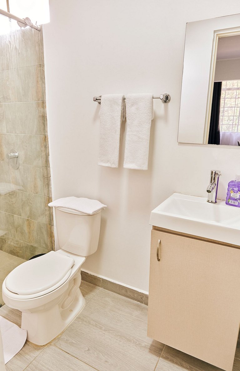 S203. Economic and Functional Apartament