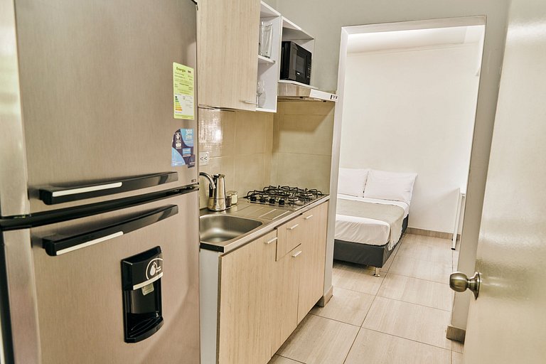 S203. Economic and Functional Apartament