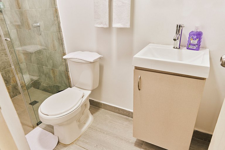 S203. Economic and Functional Apartament