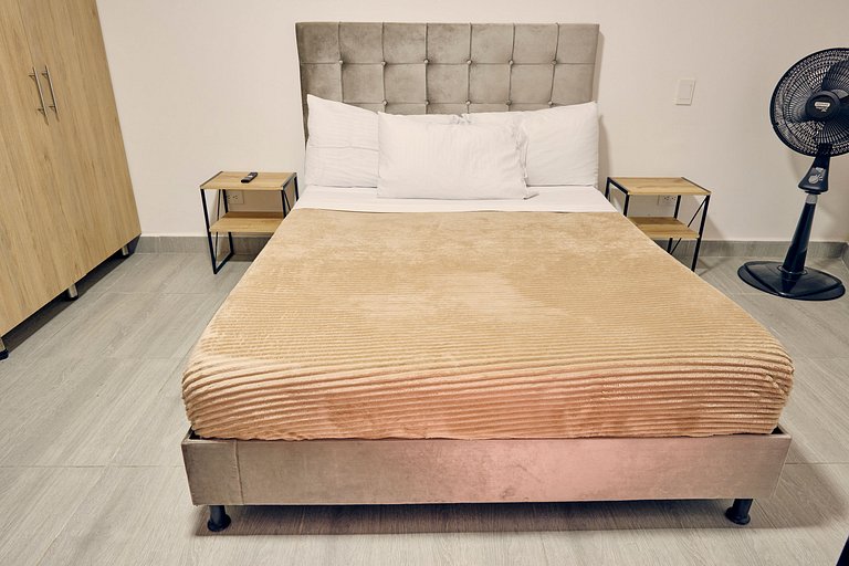 C105: Economic and Functional Loft