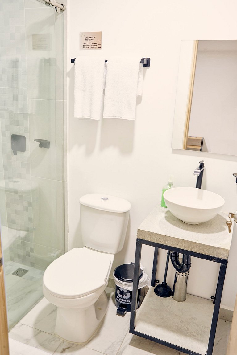 C105: Economic and Functional Loft