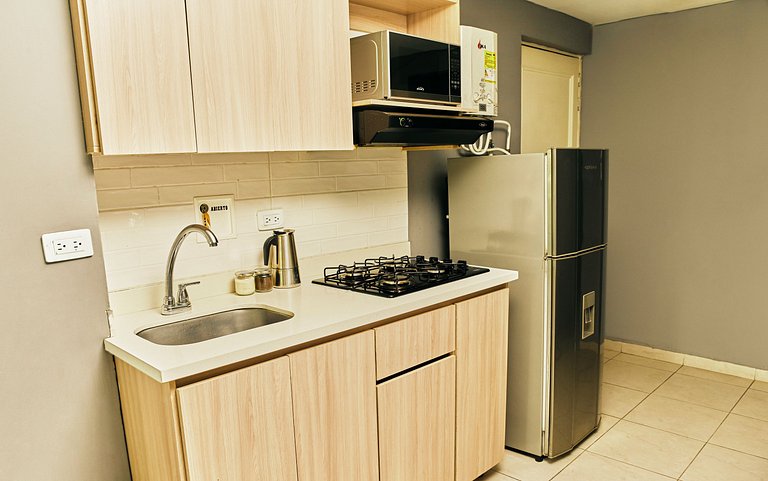 204. Economic and Functional Apartment