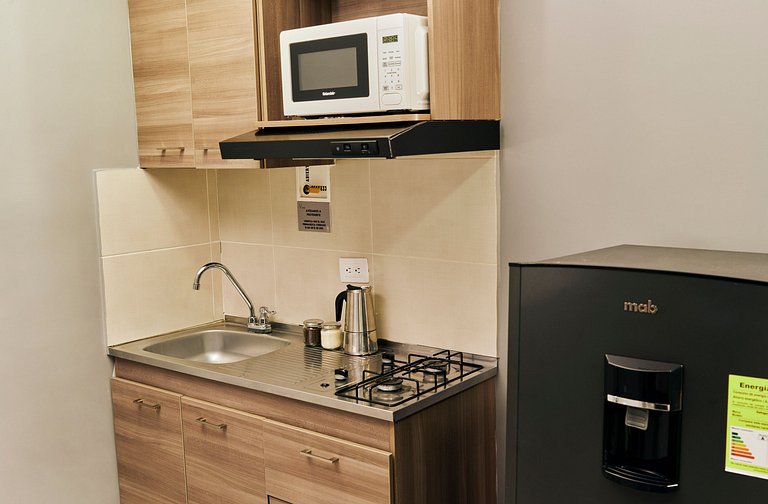 S105. Economic and Functional Apartament