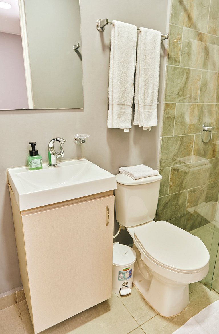 S105. Economic and Functional Apartament