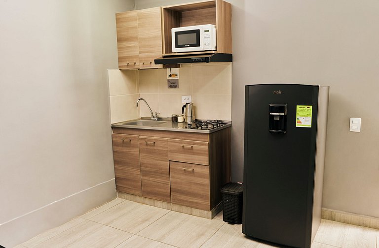 S105. Economic and Functional Apartament