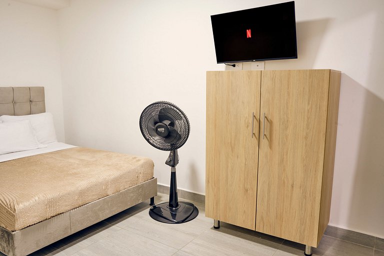 C108: Economic and Functional Loft