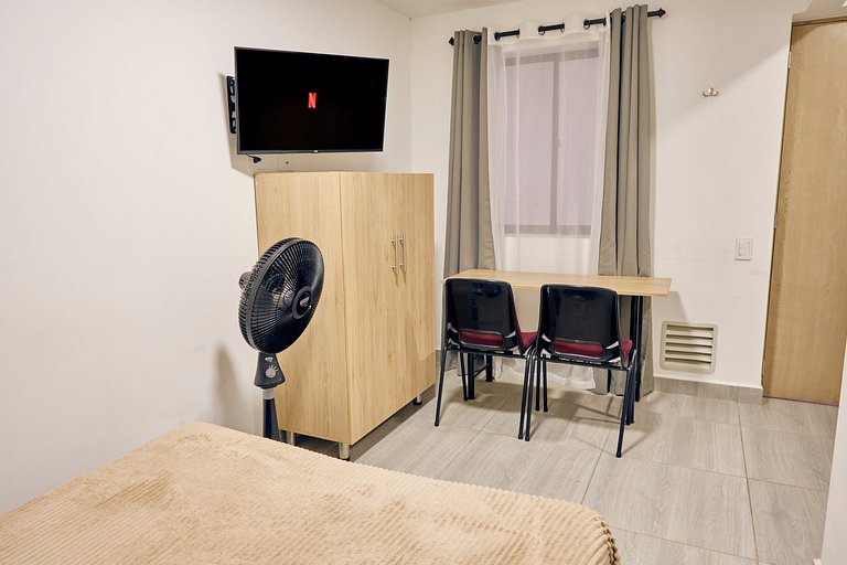 C108: Economic and Functional Loft