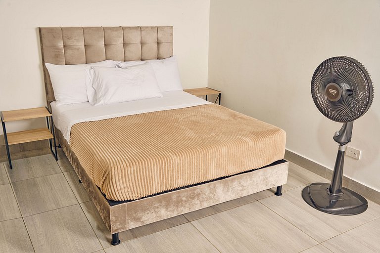 C208: Economic and Functional Loft