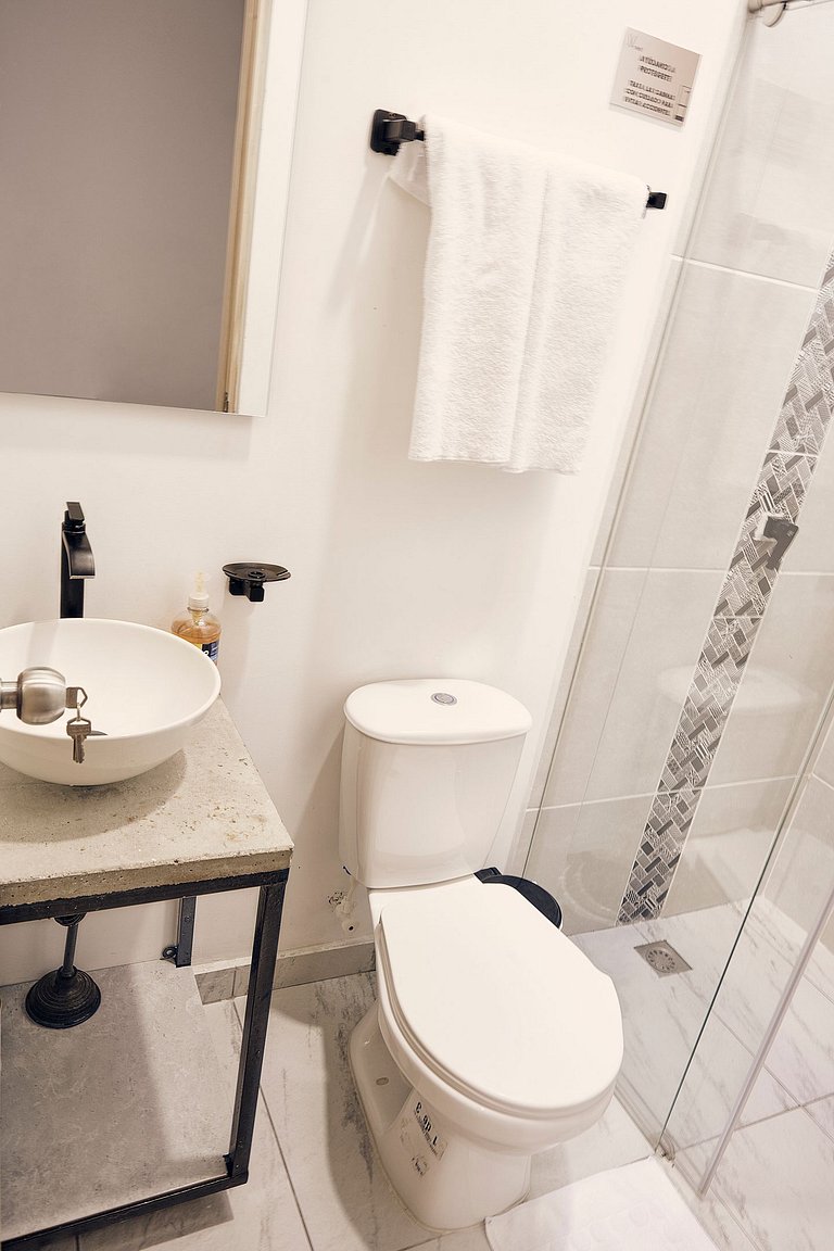 C208: Economic and Functional Loft