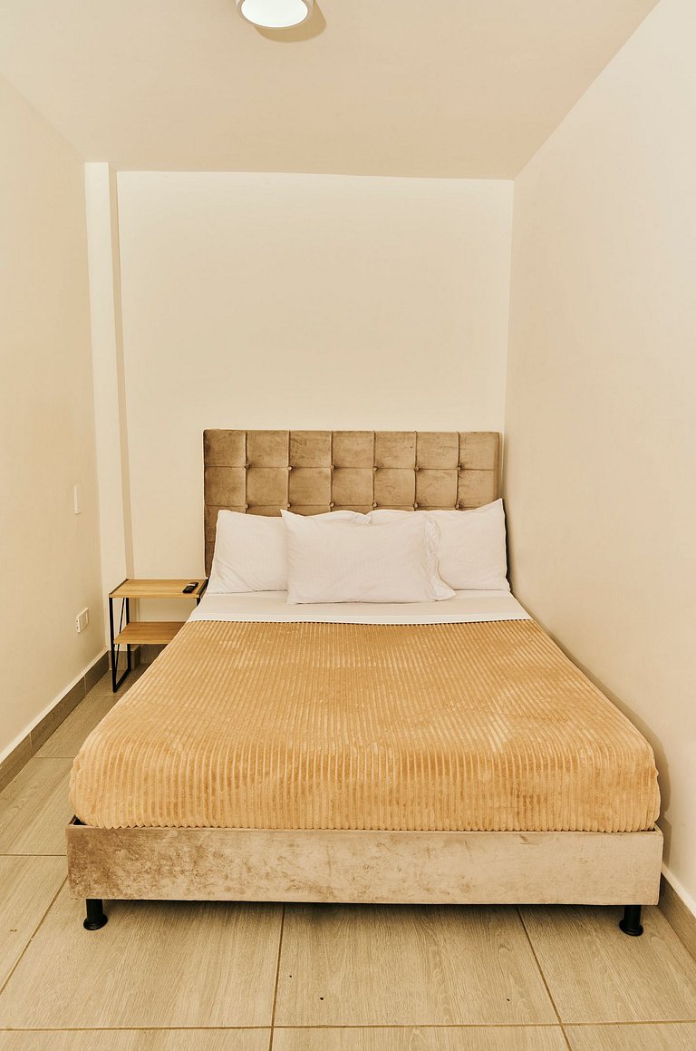 C102: Economic and Functional Loft