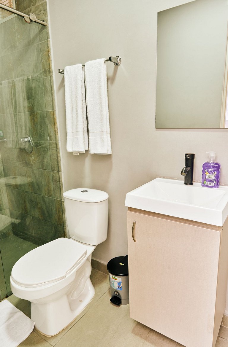 S102. Economic and Functional Apartament