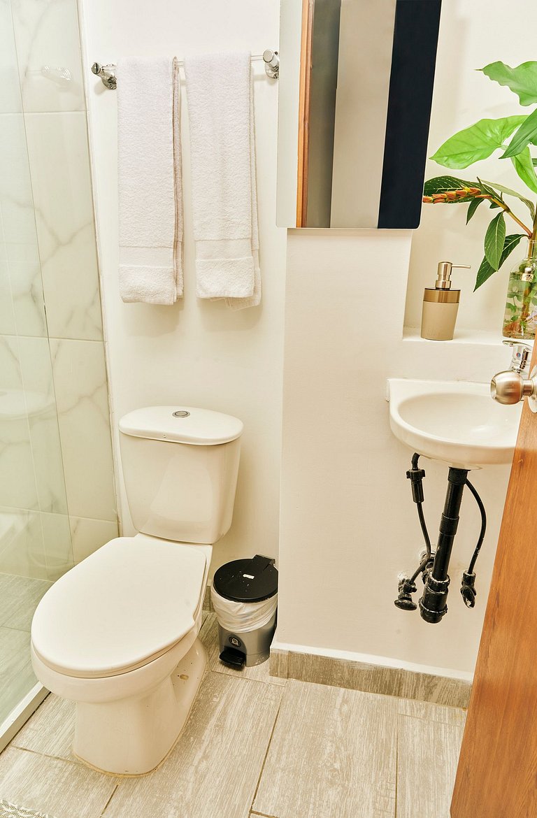 A202. Loft económico y funcional