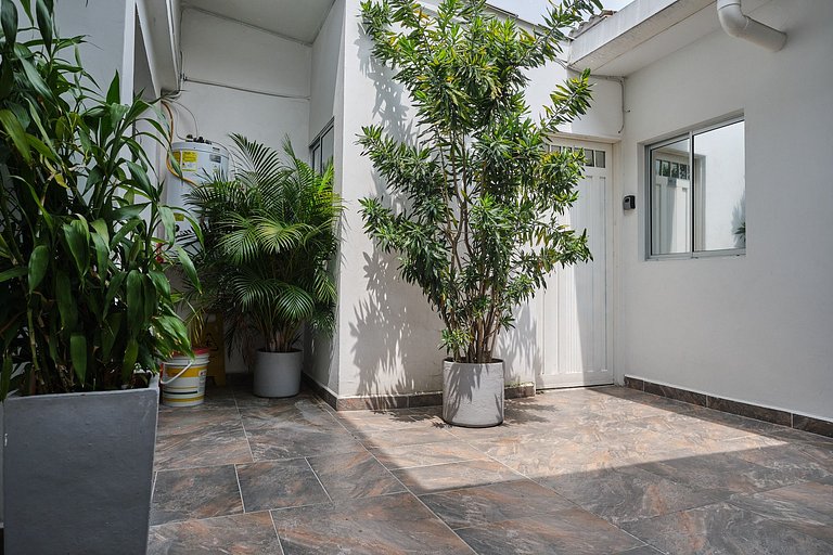 Apartments and Loft in Zona Rosa de Laureles