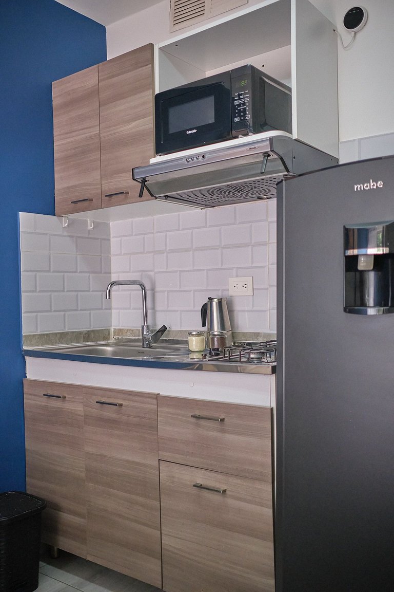 S101. Economic and Functional Loft