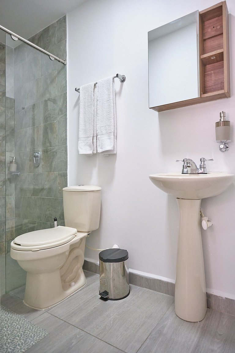 S101. Economic and Functional Loft