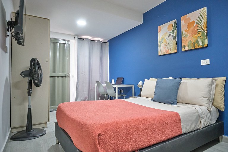 S101. Economic and Functional Loft