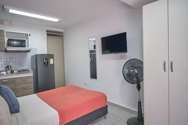 S101. Economic and Functional Loft