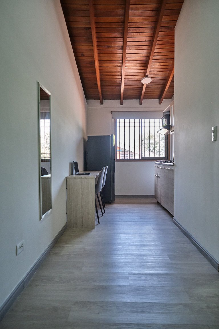 A203. Loft económico y funcional