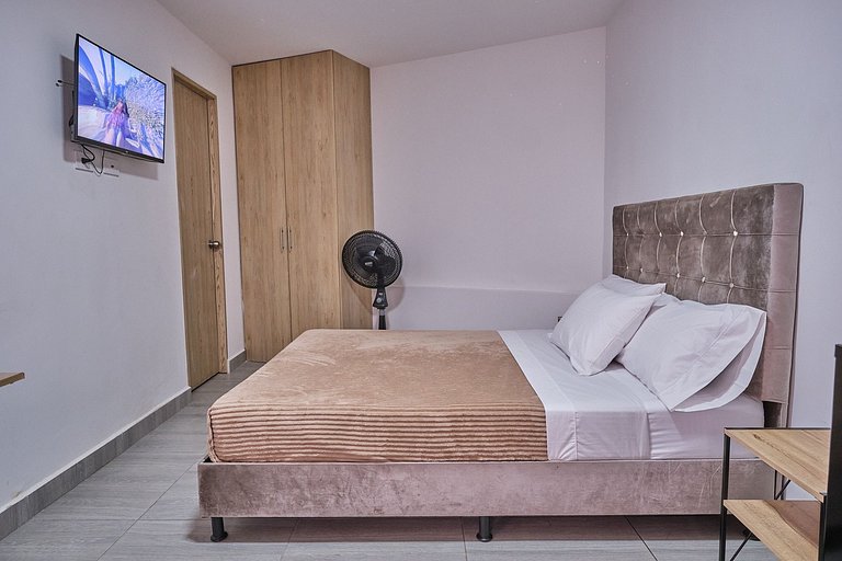 C106: Economic and Functional Loft