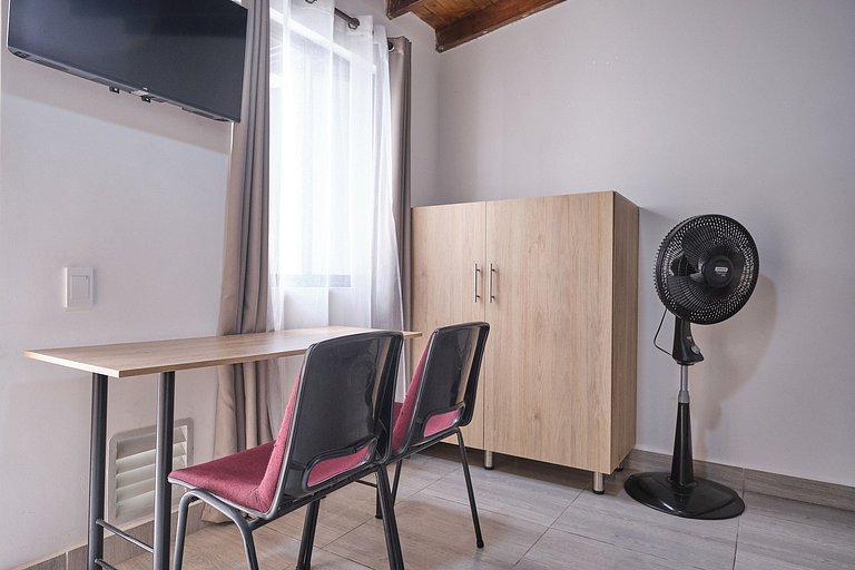 C209: Economic and Functional Loft