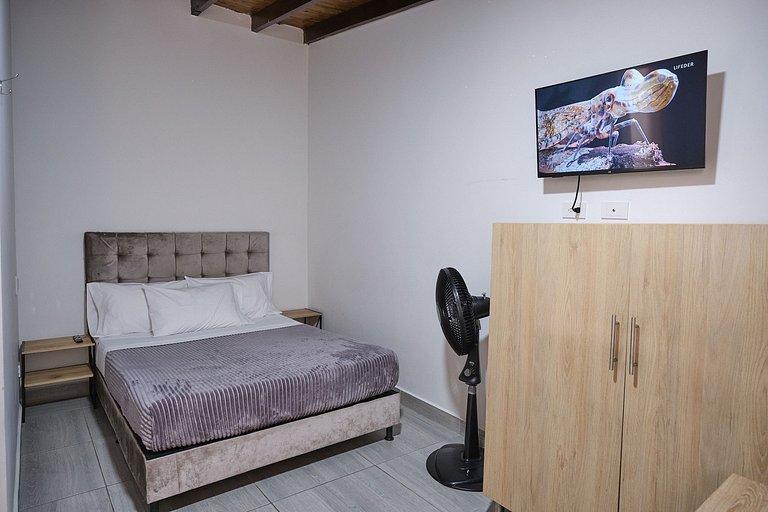 C210: Economic and Functional Loft