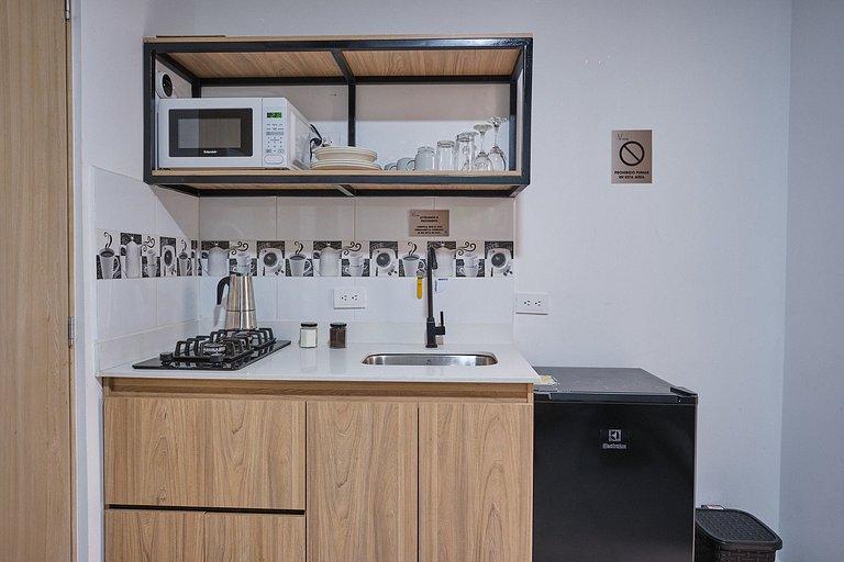 C210: Economic and Functional Loft