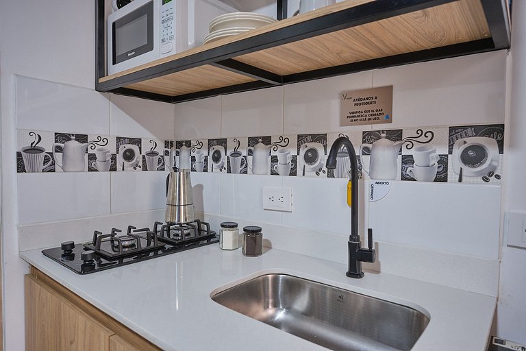 C210: Economic and Functional Loft