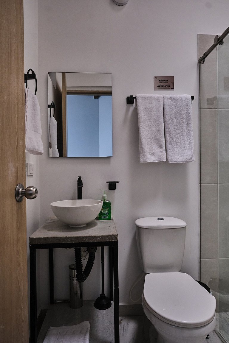 C212: Economic and Functional Loft