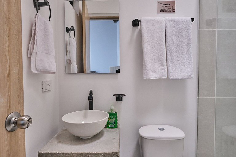 C212: Economic and Functional Loft