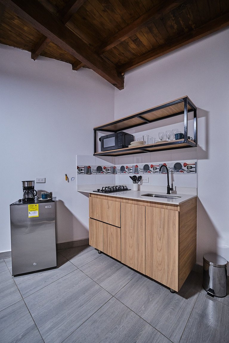 C101: Economic and Functional Loft